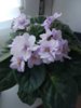 IMG_20170317_103637.jpg
