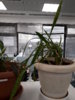 20170322_165209.jpg