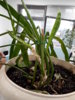 20170322_165215.jpg