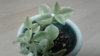 20170322_120929.jpg