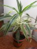 20170323_102909.jpg