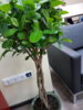 20170324_104416.jpg