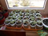 DSCN1067.JPG