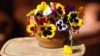 www.GetBg.net_Nature___Flowers_Viola_flowers_(violet__pansy)_home_on_the_table_066242_.jpg