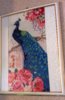 20170403_091303.jpg