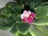 20170404_131405.jpg