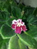 20170404_131357.jpg