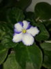 20170404_131350.jpg