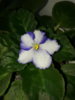 20170404_131346.jpg