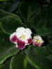 20170404_131324.jpg