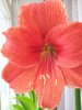 IMG_20170404_161737.jpg