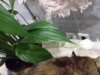 20170407_145751.jpg