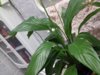 20170407_145800.jpg