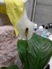 20170407_145739.jpg