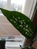 IMG_20170411_174714.jpg