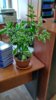 IMG_20170405_155324_HDR.jpg