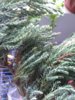 IMG_20170416_133027.jpg