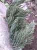 IMG_20170416_134122.jpg