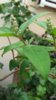 20170418_090317-1200x2133.jpg