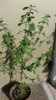 20170418_090144-1200x2133.jpg
