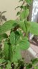 20170418_090154-1200x2133.jpg