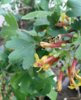 20170415_103733-1200x2133.jpg