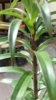 20170418_090710-1200x2133.jpg