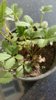 20170418_090945-1200x2133.jpg