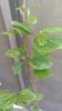 20170418_090556-1200x2133.jpg