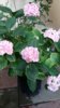 PhotoPictureResizer_170320_200040012.jpg