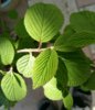 20170418_132330-1200x2133.jpg