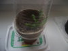 DSCF2120.JPG
