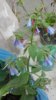 20170419_104030.jpg