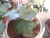 20170424_171135.jpg