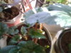 20170424_171145.jpg