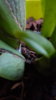 IMG_20170424_184939.jpg