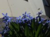DSC04826.JPG