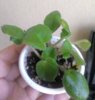 IMAG6359_1.jpg