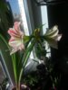 IMAG6357.jpg