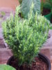 DSCN0267.JPG