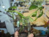 DSC05389.JPG