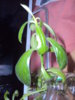 DSC05390.JPG