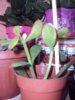DSC05392.JPG