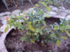 DSC05404.JPG