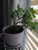 IMG_20170503_171744.jpg