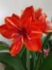 20170508_071702.jpg