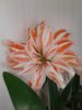 20170508_071641.jpg