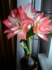 DSC02280.JPG