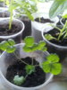 20170507_142720.jpg