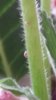 20170509_115541.jpg
